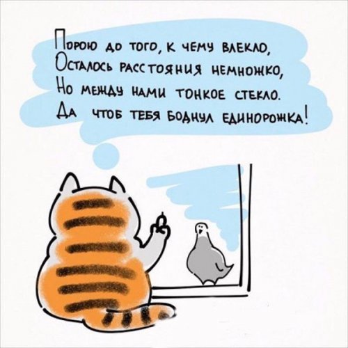 Æèçíåííûå ïðèíöèïû êîøåê (6 ôîòî) Æèçíåííûå ïðèíöèïû êîøåê (6 ôîòî)