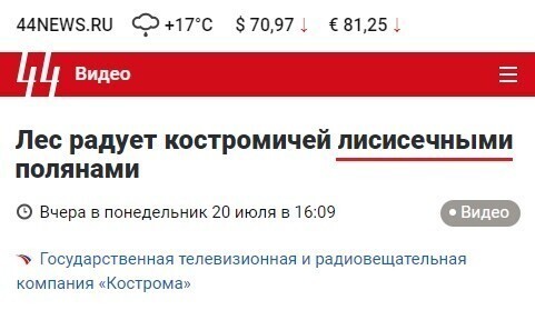 Искусство заголовка: удается не всем Искусство заголовка: удается не всем
(15 фото)