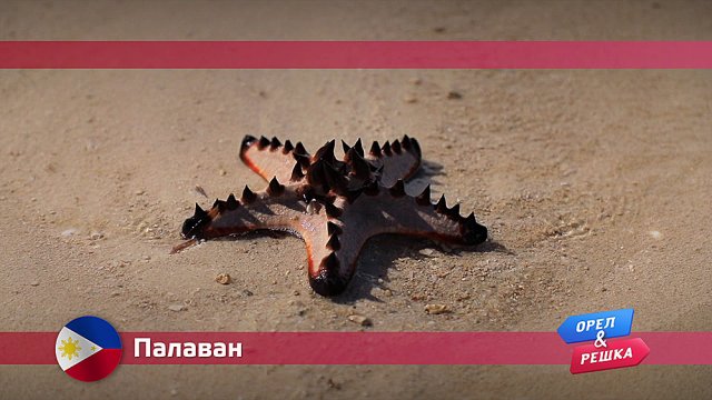 Орел и решка: Палаван. Филипины Орел и решка: Палаван. Филипины