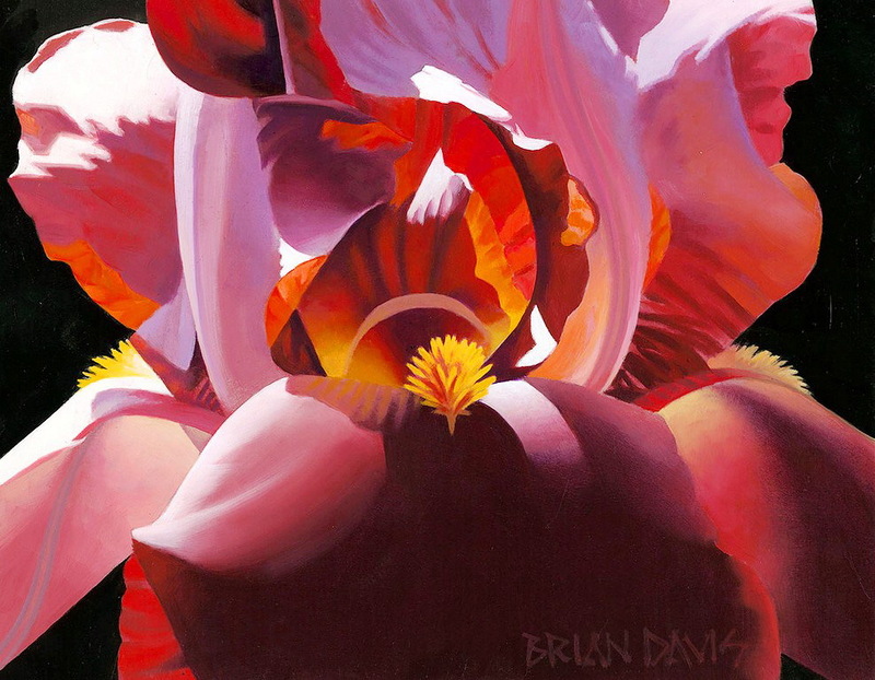    (Brian Davis)
