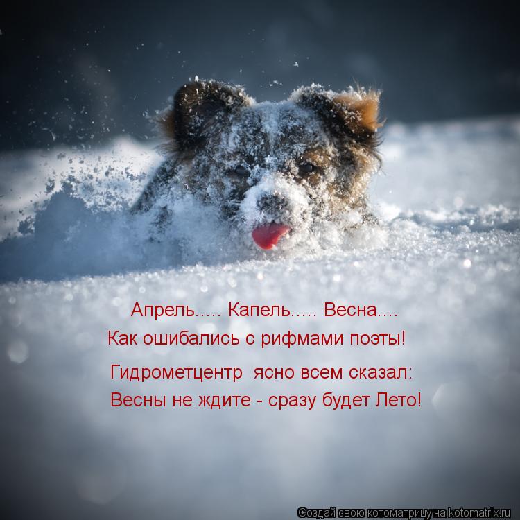  - ..... ..... ....     ! 