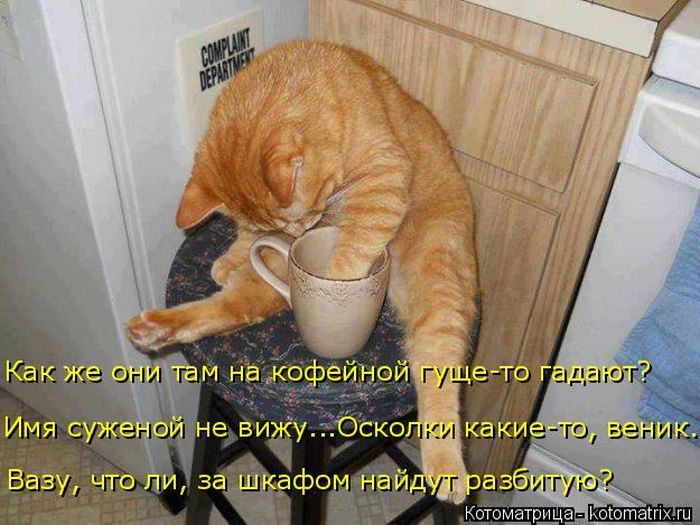 Самые весёлые котоматрицы)) Самые весёлые котоматрицы))