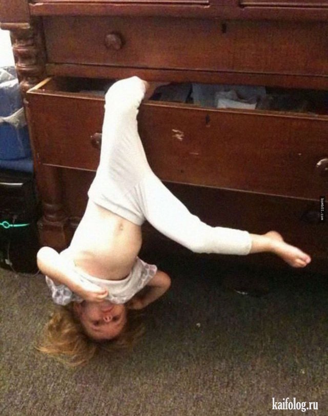 Чудо в перьях (45 фото) Чудо в перьях (45 фото)