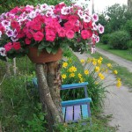 Дачный участок: 33 красивых цветника на даче Дачный участок: 33 красивых цветника на даче