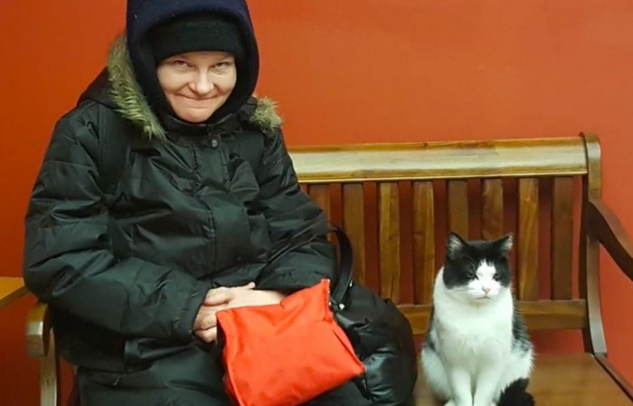 Кошка стала лучшим работником в приюте престарелых Кошка стала лучшим работником в приюте престарелых