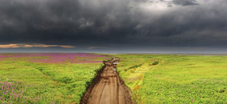 Природа России 5 Природа России 5