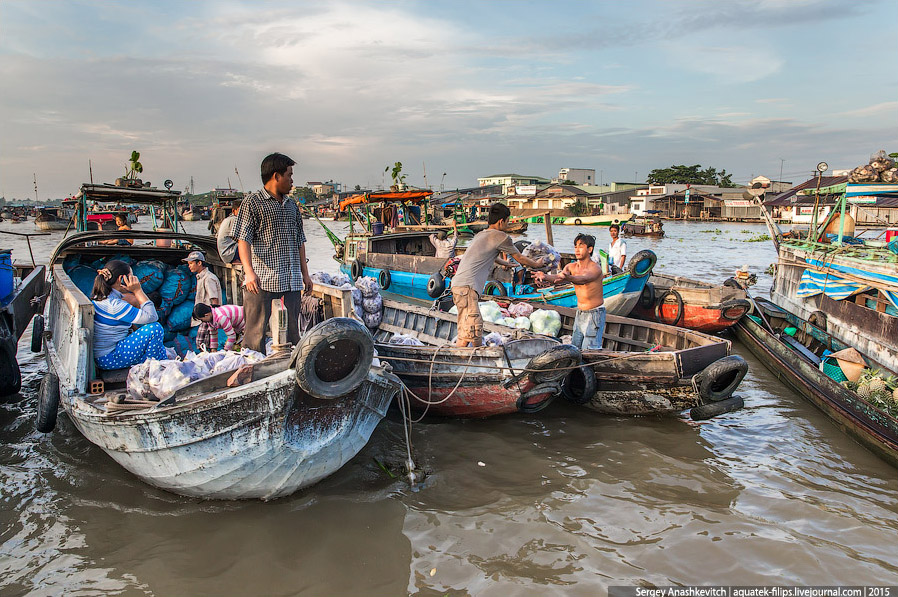 Vietnam