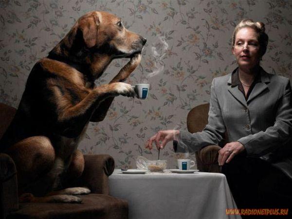 Давайте улыбаться вместе! :) (28поводов)