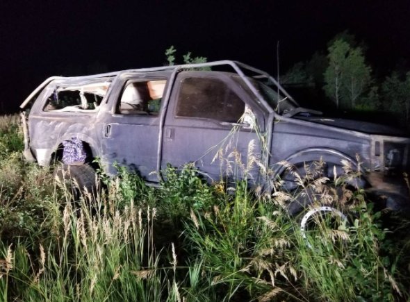 Известная собака с двумя лапами пропала после автокатастрофы Известная собака с двумя лапами пропала после автокатастрофы