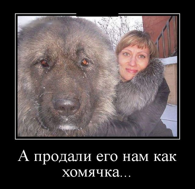 Анекдоты, в том числе и политические... Анекдоты, в том числе и политические...