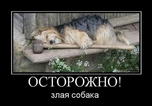 Демотиваторы отличной подборочкой для зарядки позитивом на весь день! Демотиваторы отличной подборочкой для зарядки позитивом на весь день!