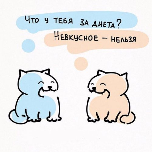 Æèçíåííûå ïðèíöèïû êîøåê (6 ôîòî) Æèçíåííûå ïðèíöèïû êîøåê (6 ôîòî)