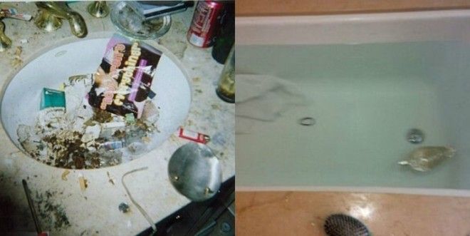 15 Сцен Смерти Знаменитостей, Которые Не Видел Практически Никто! 15 Сцен Смерти Знаменитостей, Которые Не Видел Практически Никто!