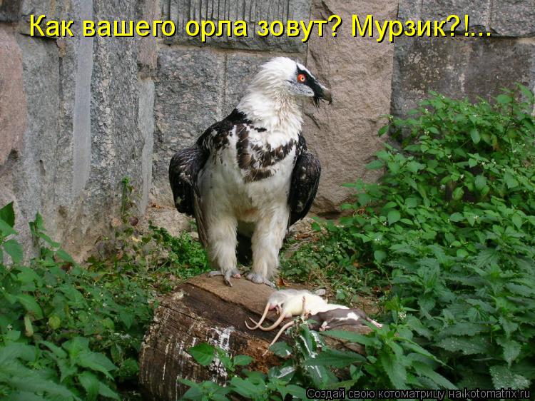 Зубные порошки своими руками