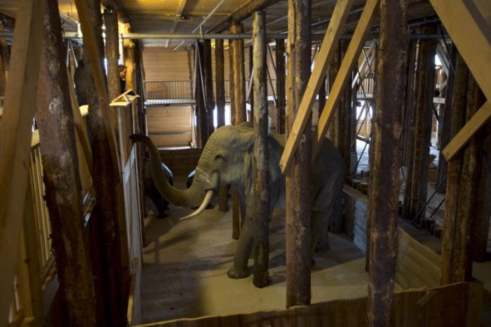 Голландец построил точную копию библейского ковчега (13 фото)