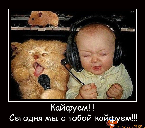 ПЕРЛЫ ДЕТЕЙ И ИХ РОДИТЕЛЕЙ. ПЕРЛЫ ДЕТЕЙ И ИХ РОДИТЕЛЕЙ.