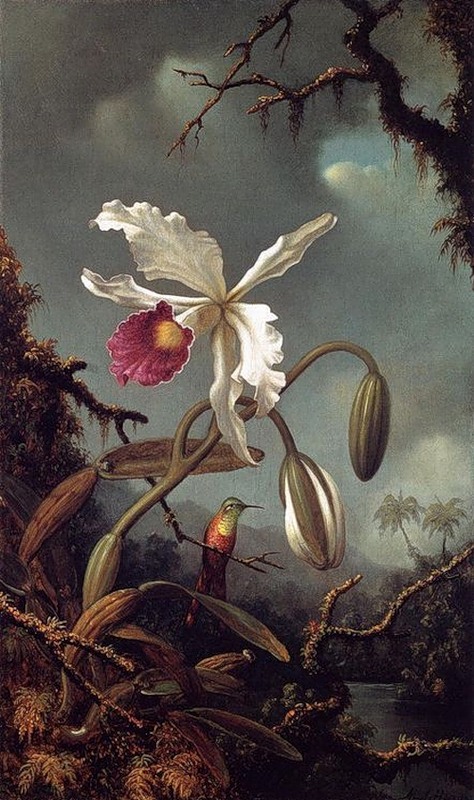 Цветы на картинах Martin Johnson Heade