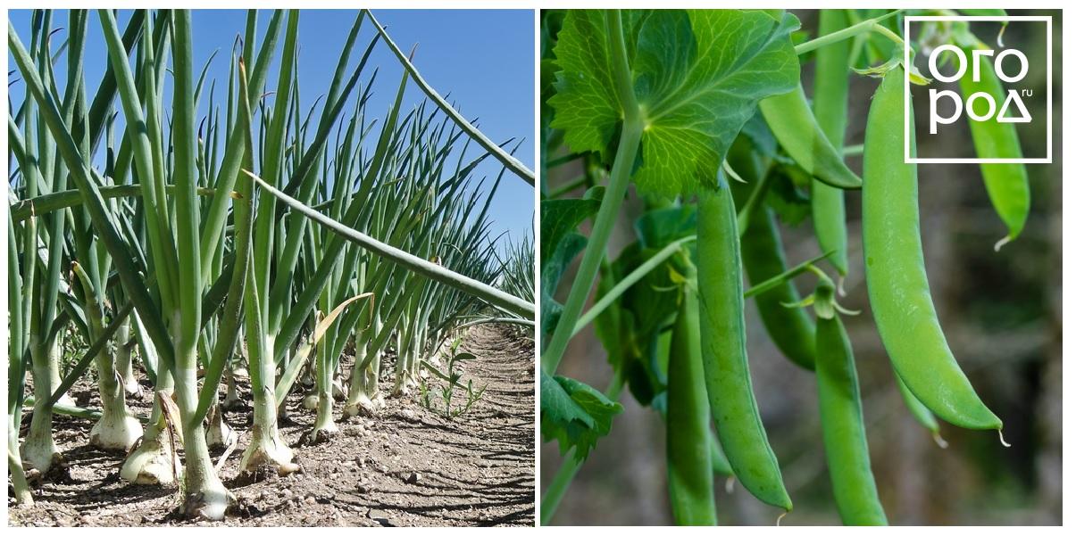 ��� � �����