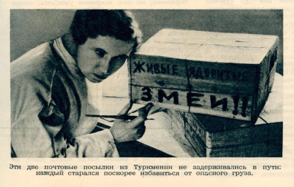 Интересные и редкие ретро-фотографии Интересные и редкие ретро-фотографии