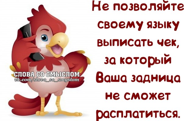 Прикольные фразочки в картинках