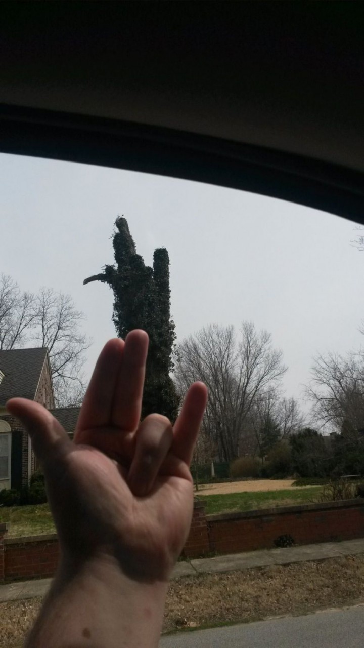 природа, позитив, фото