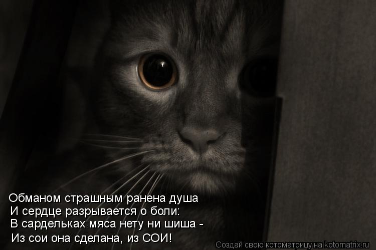  -          :  