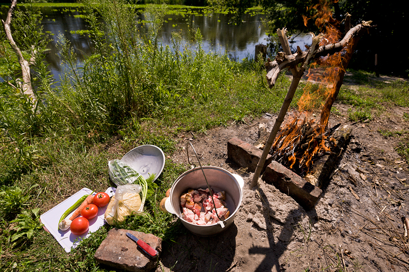 Картинка шашлыки лес