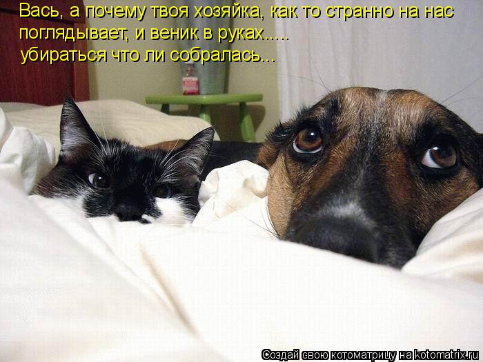  - ,    ,      ,  