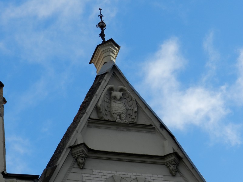 Совы Петербурга Совы Петербурга