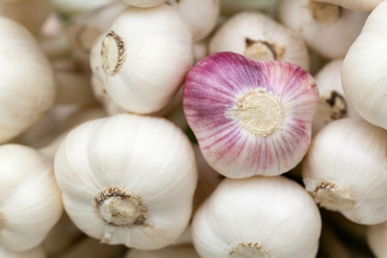 Внимание! Эти продукты из Китая нельзя есть Внимание! Эти продукты из Китая нельзя есть