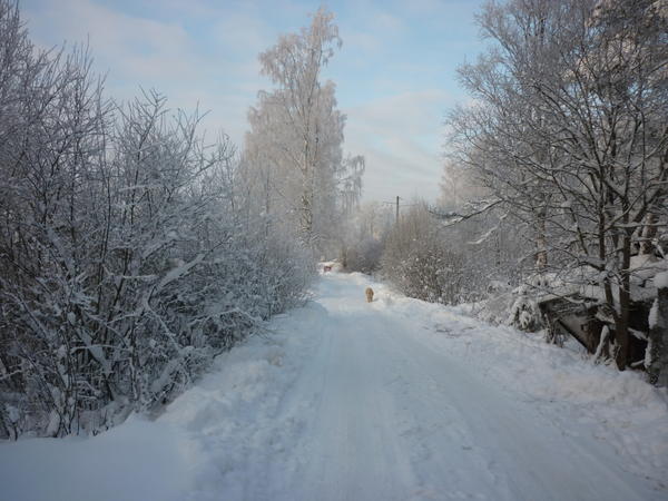 Эх, дороги… Эх, дороги…