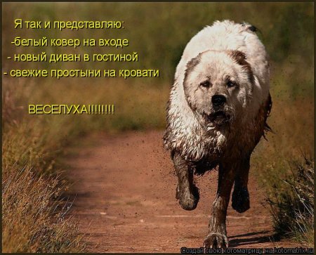 ��������� ����������� ������������..