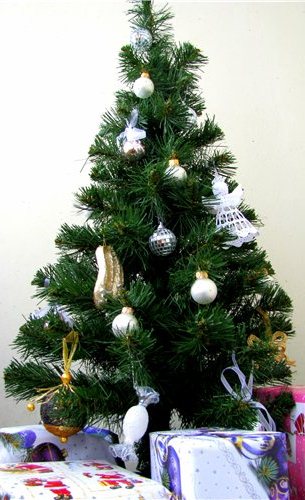 Тема 9. Что еще готовим на новогодний стол? 2013!