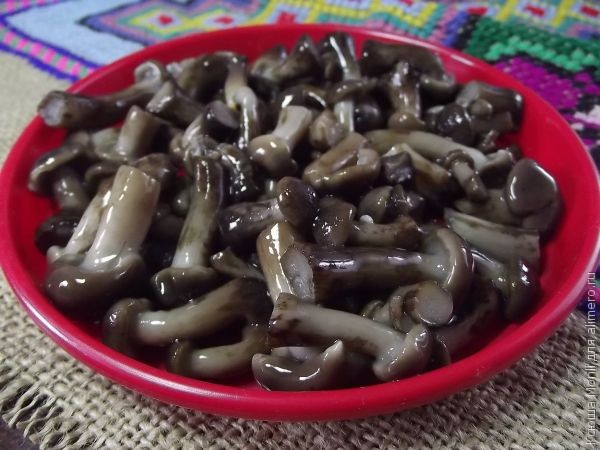 картофельные зразы с грибами Картофельные зразы с грибами