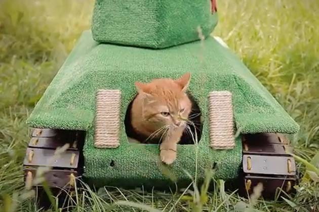 original.jpg#20880132236