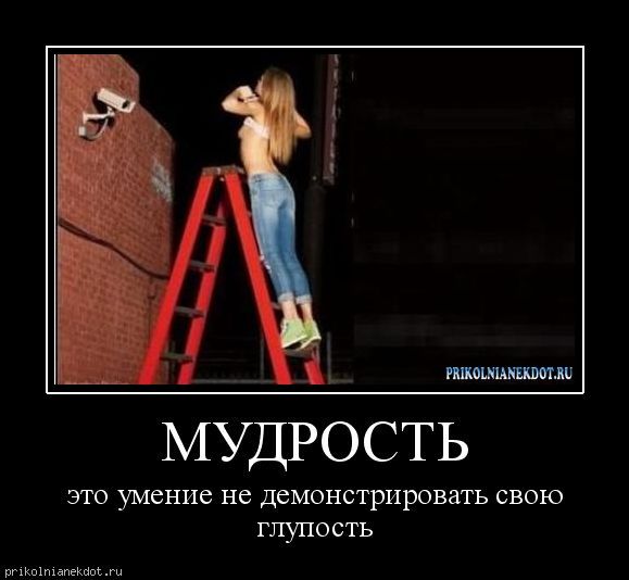 С чем связана мудрость С чем связана мудрость