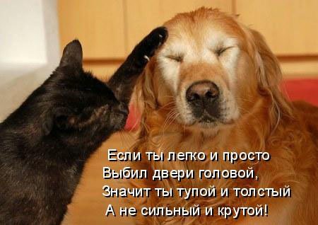 original.jpg#20310608267