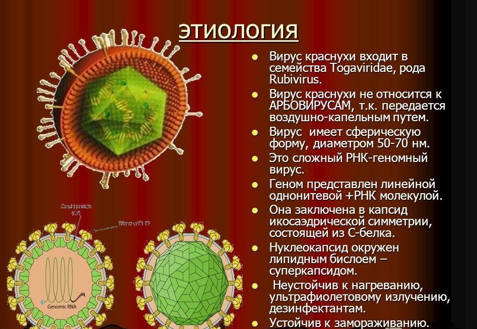 Детские болезни, опасные для взрослых Детские болезни, опасные для взрослых