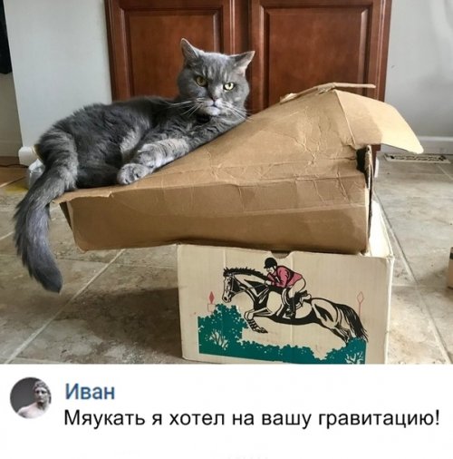 Немного юмора не помешает!