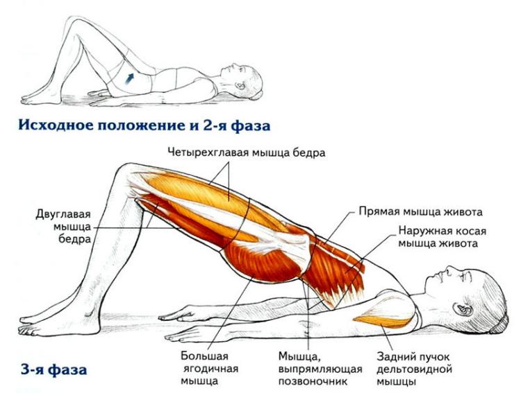 Омолаживающие 8 упражнений для укрепления спины Омолаживающие 8 упражнений для укрепления спины