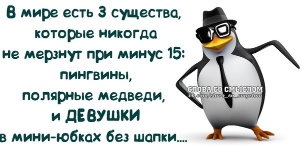 Прикольные фразочки в картинках