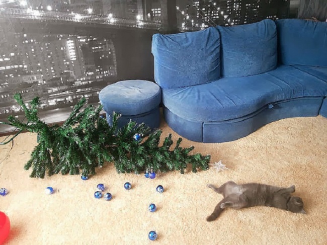 Коты и елка Коты и елка