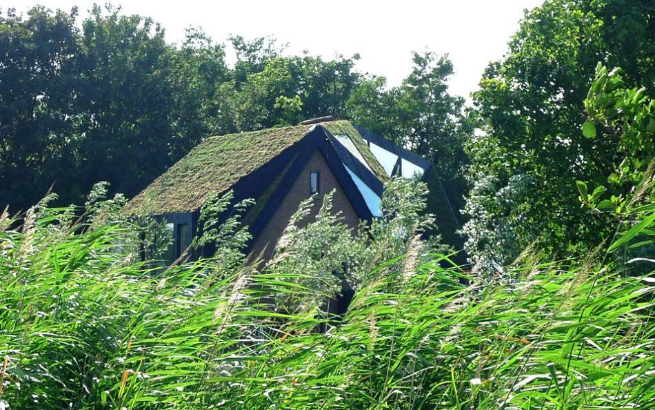 terraoko-Villa-Rotterdam-20151114 (2)