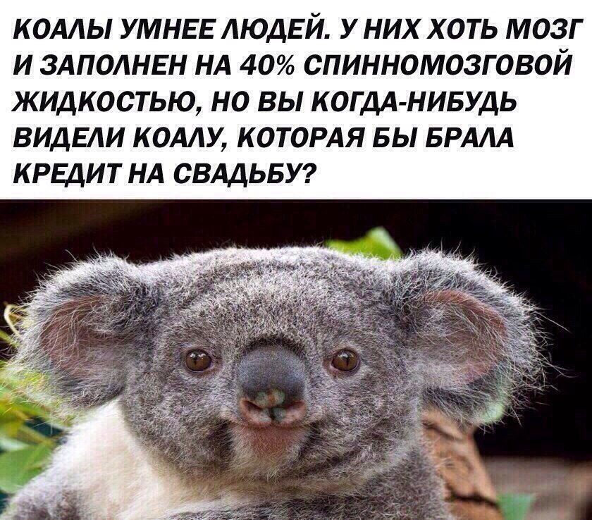 Прикольные картинки с надписью до слез (11 фото) Прикольные картинки с надписью до слез (11 фото)