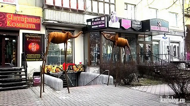 Русские маразмы за неделю (55 фото) Русские маразмы за неделю (55 фото)