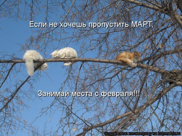 Мысли вслух :)
