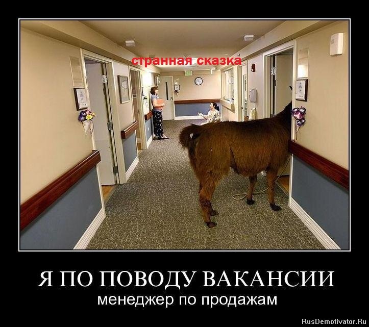 Дядя Вова утверждает, что если платить меньше нашим топ-менеджерам, то они разбегутся. Интересно, куда?