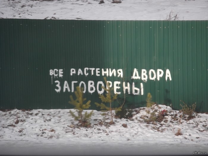 От воров растений От воров растений защита, прикол, фото