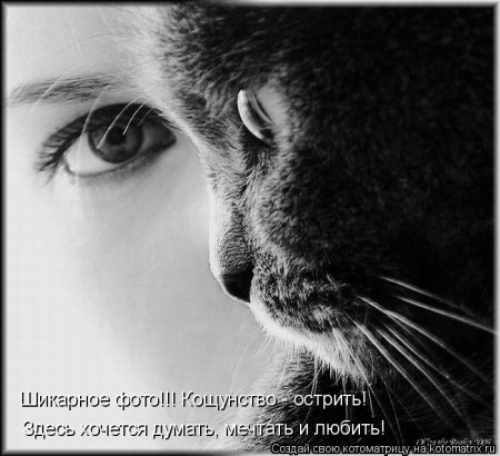 ��������� ����������� ������������..