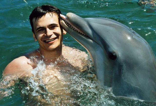dolphins21